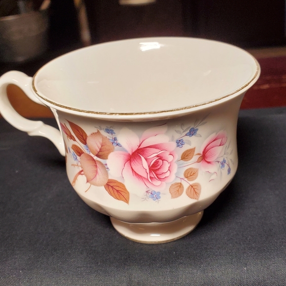 Queen Anne England Bone China Tea Cup - Picture 5 of 6